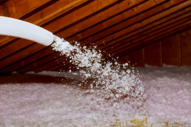Best Residential Insulation in Kenly, NC