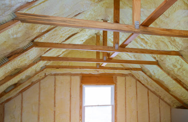 Best DIY Insulation Kits and Guidance in Kenly, NC