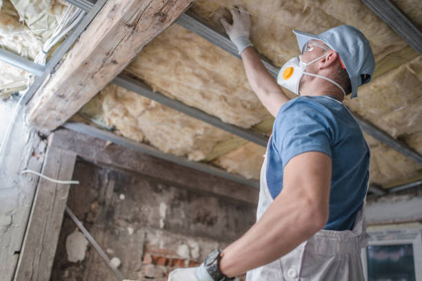 Best Insulation Maintenance and Repair in Kenly, NC