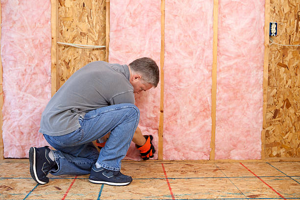 Best Cellulose Insulation in Kenly, NC