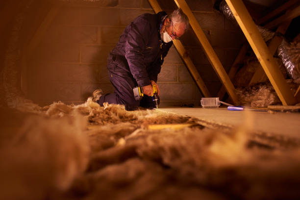 Best Eco-Friendly Insulation in Kenly, NC